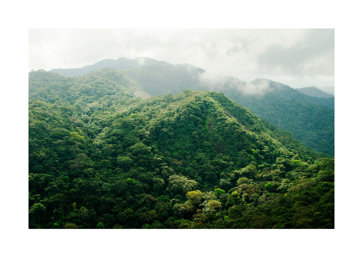 Utsikt från Mt. Sugarloaf poster