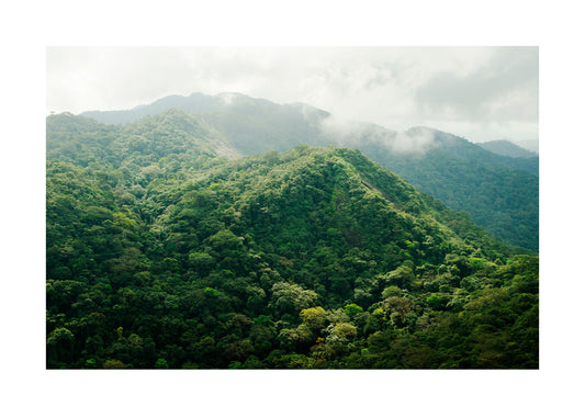 Utsikt från Mt. Sugarloaf poster