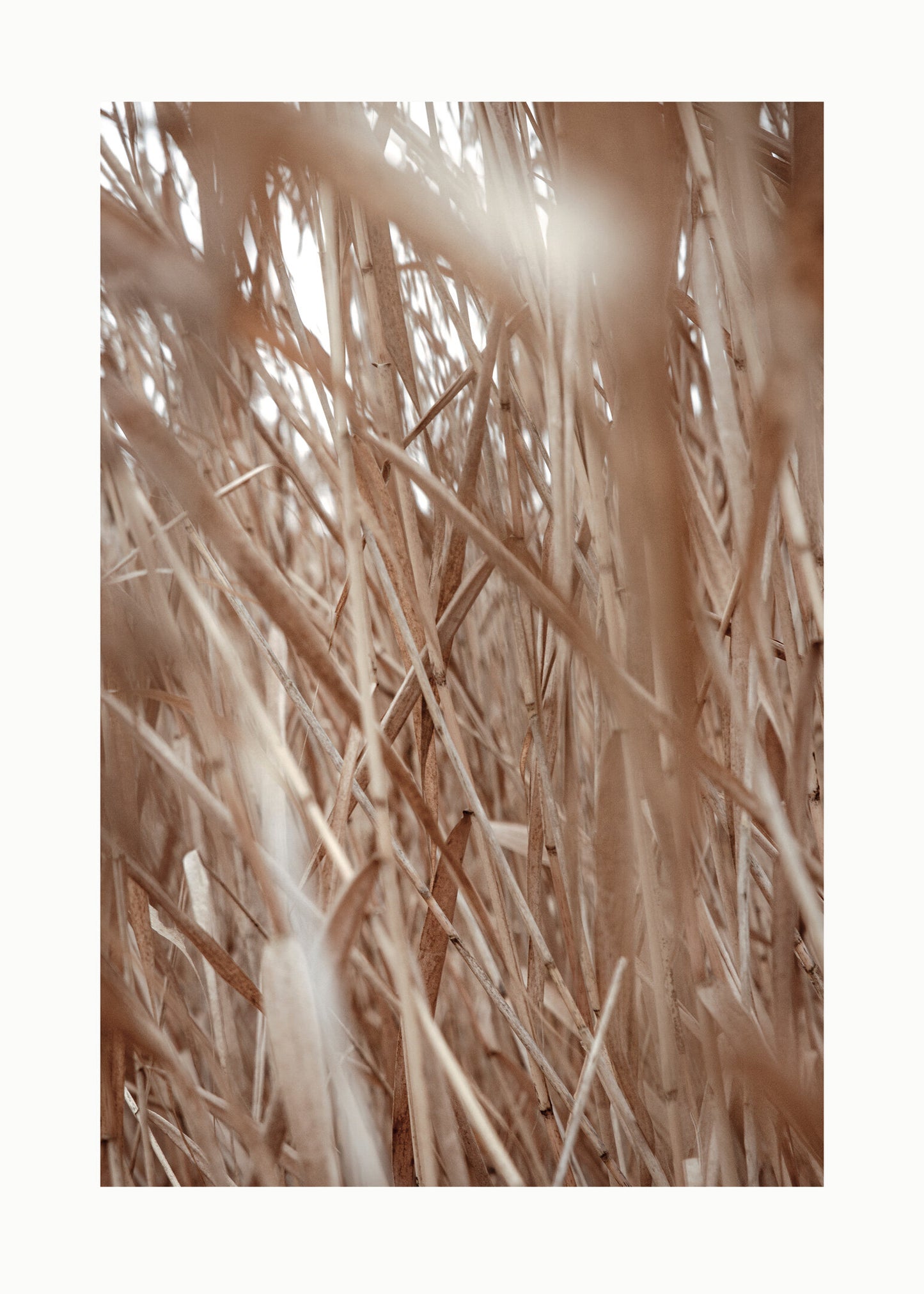 Vass i detalj poster 