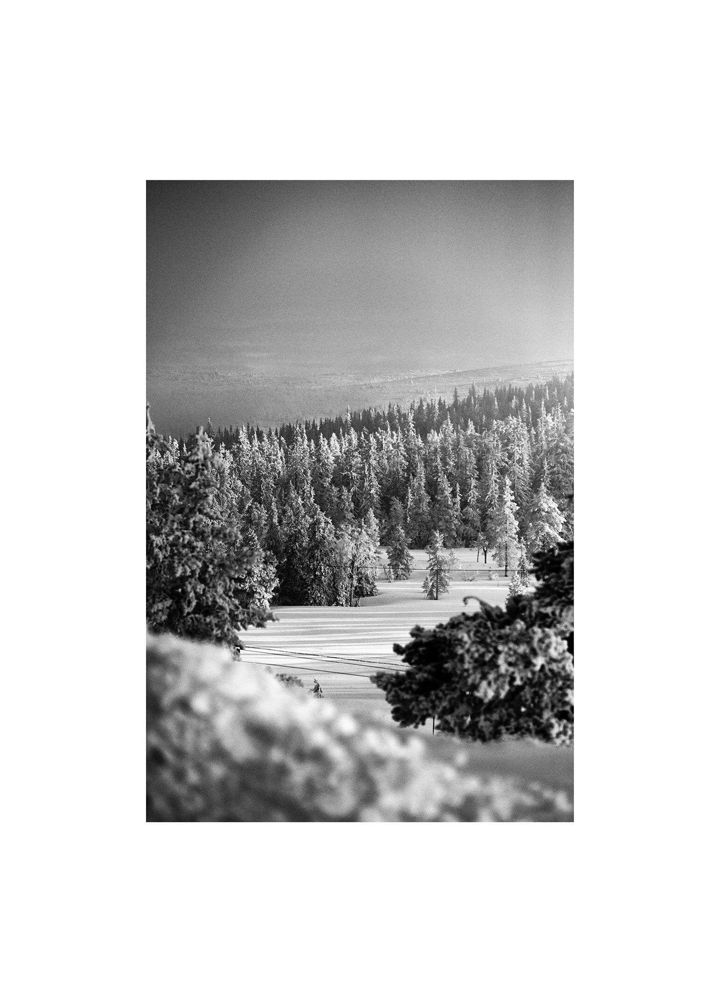 Nordisk vinter poster