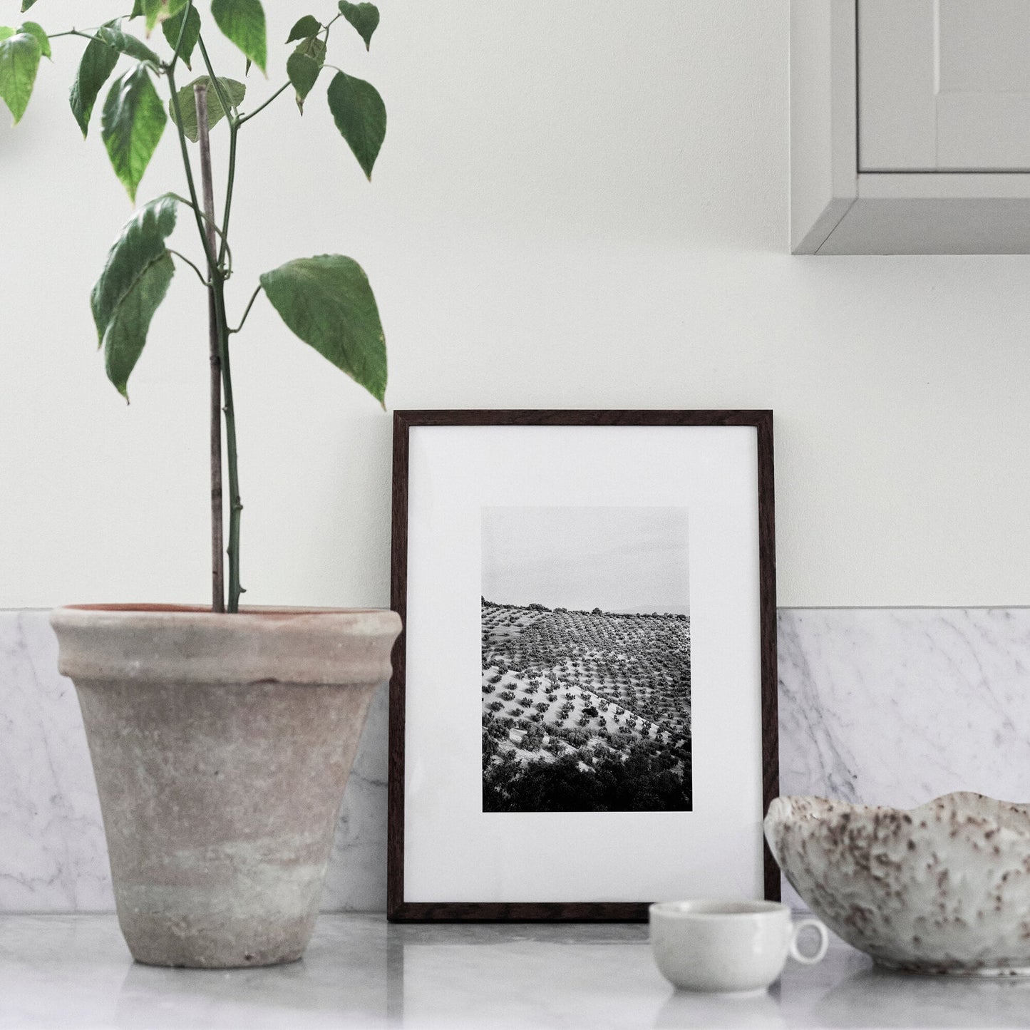 Olivlund i Granada poster