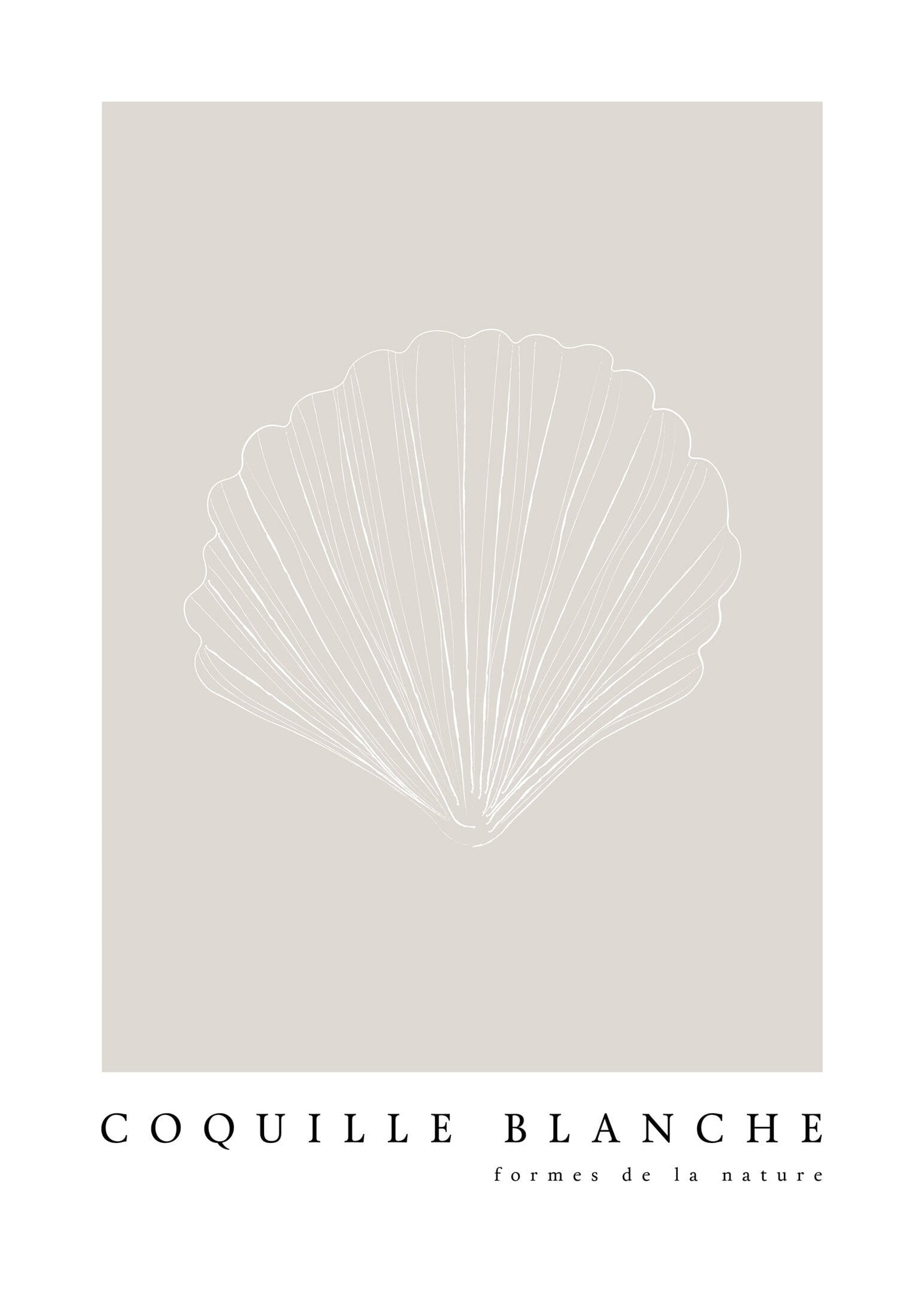 Strandsnäcka mörk poster