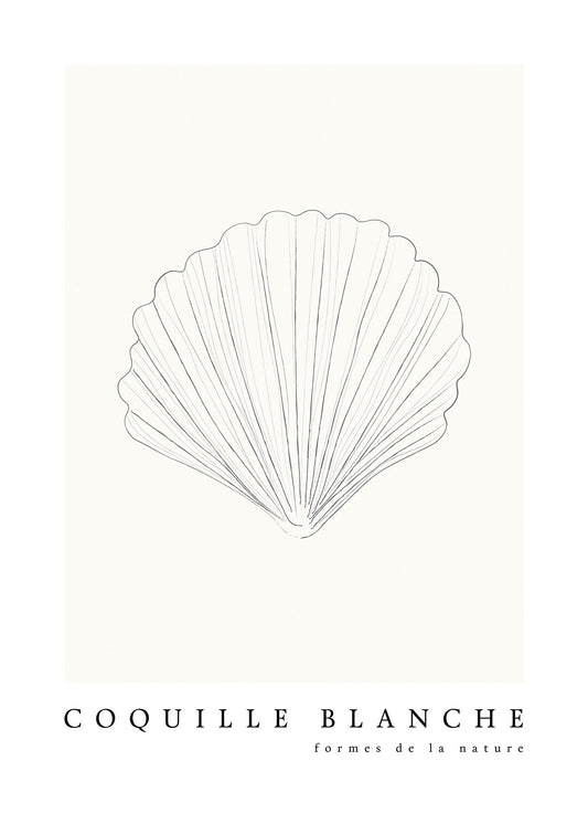 Strandsnäcka poster