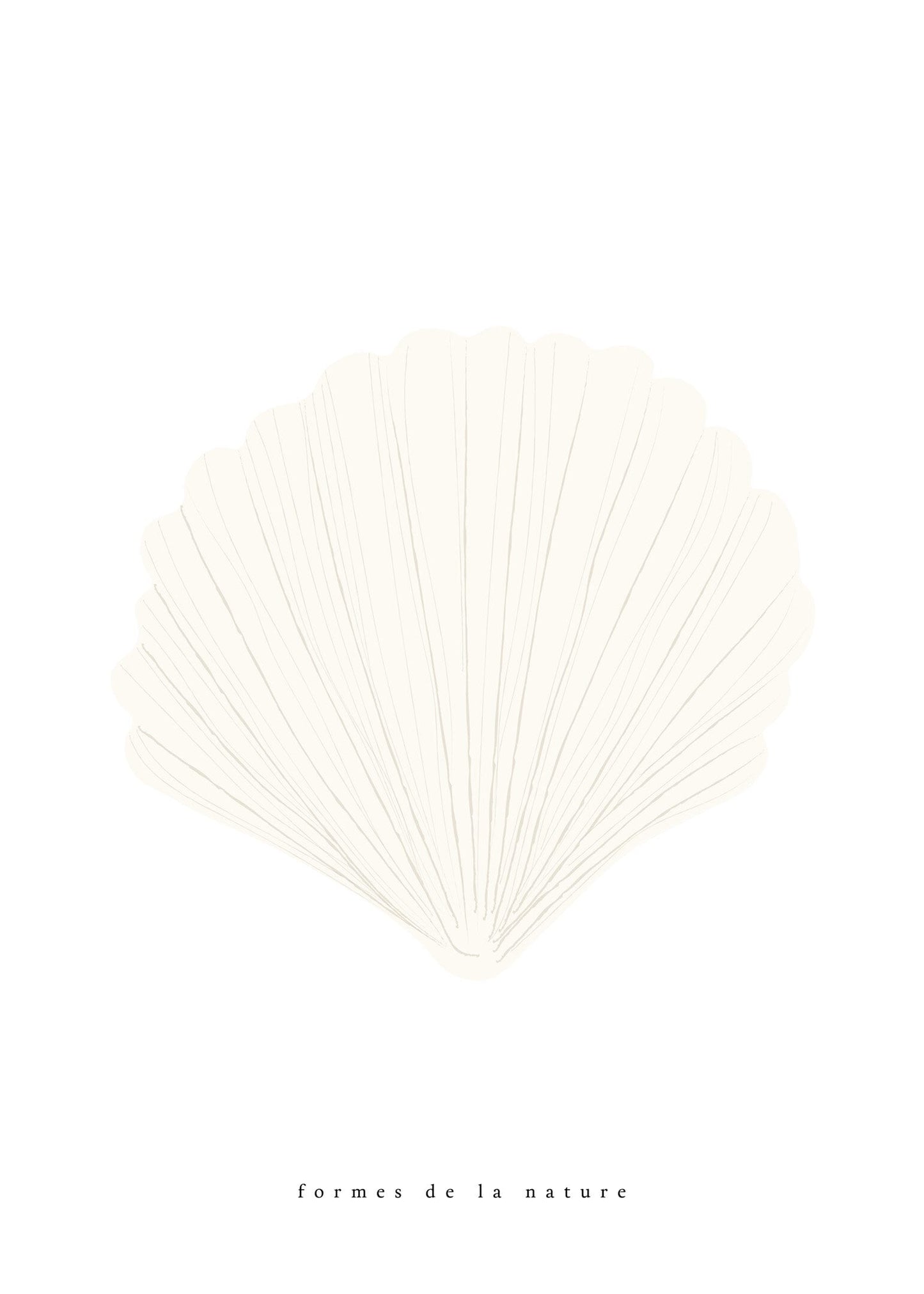 Havssnäcka vit poster