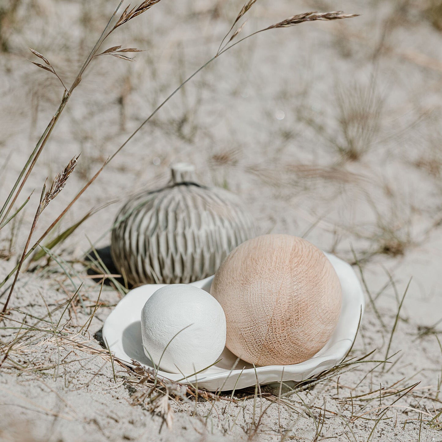 Havssnäcka vit poster