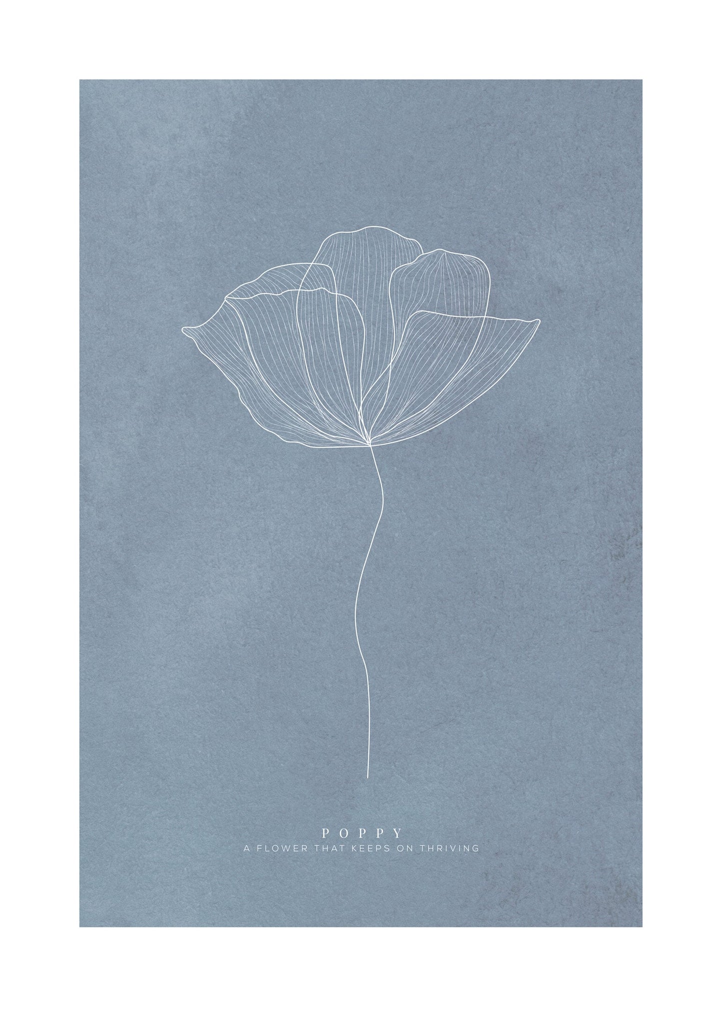 Poppy mörkblå poster