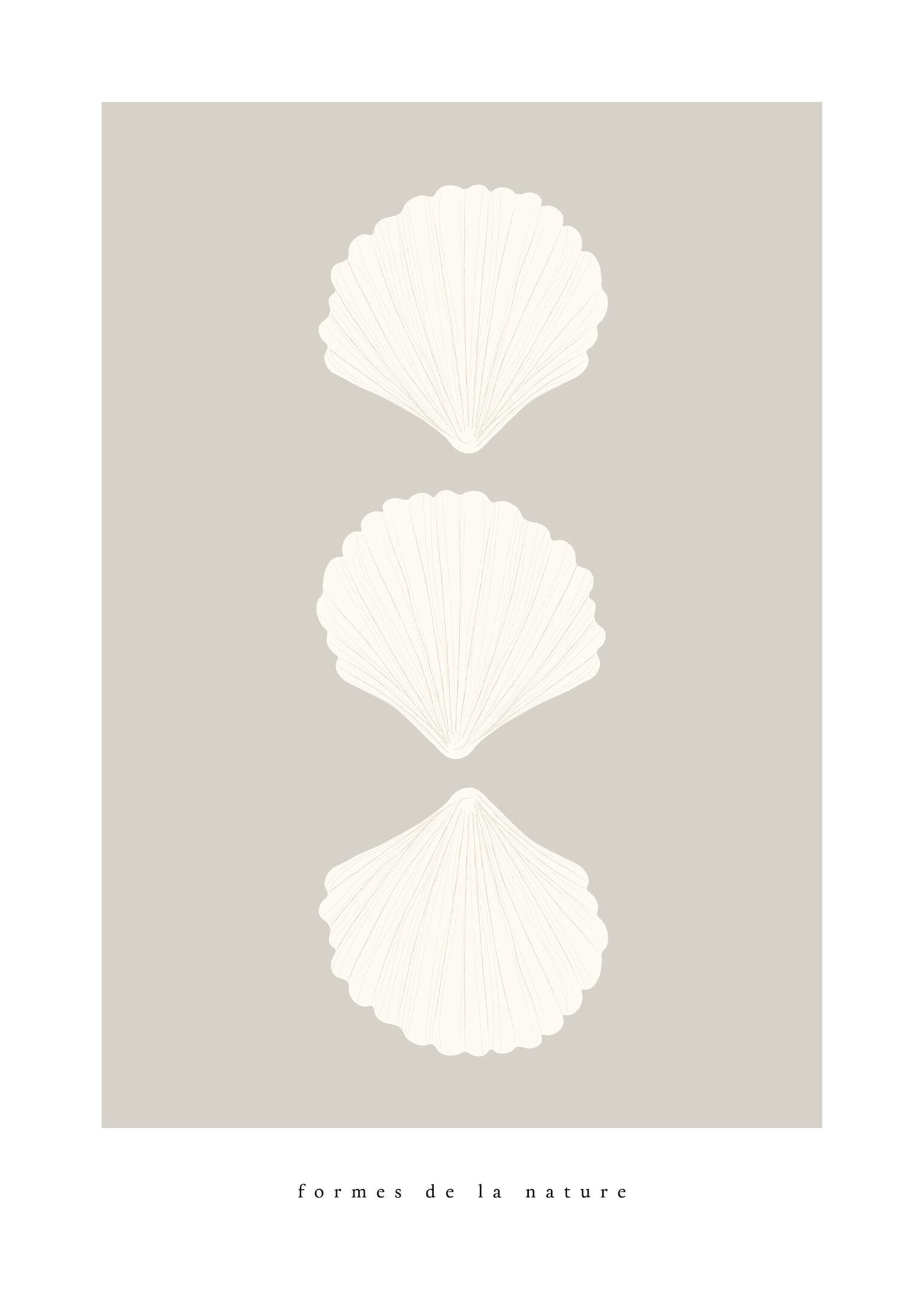 Snäckor på rad poster