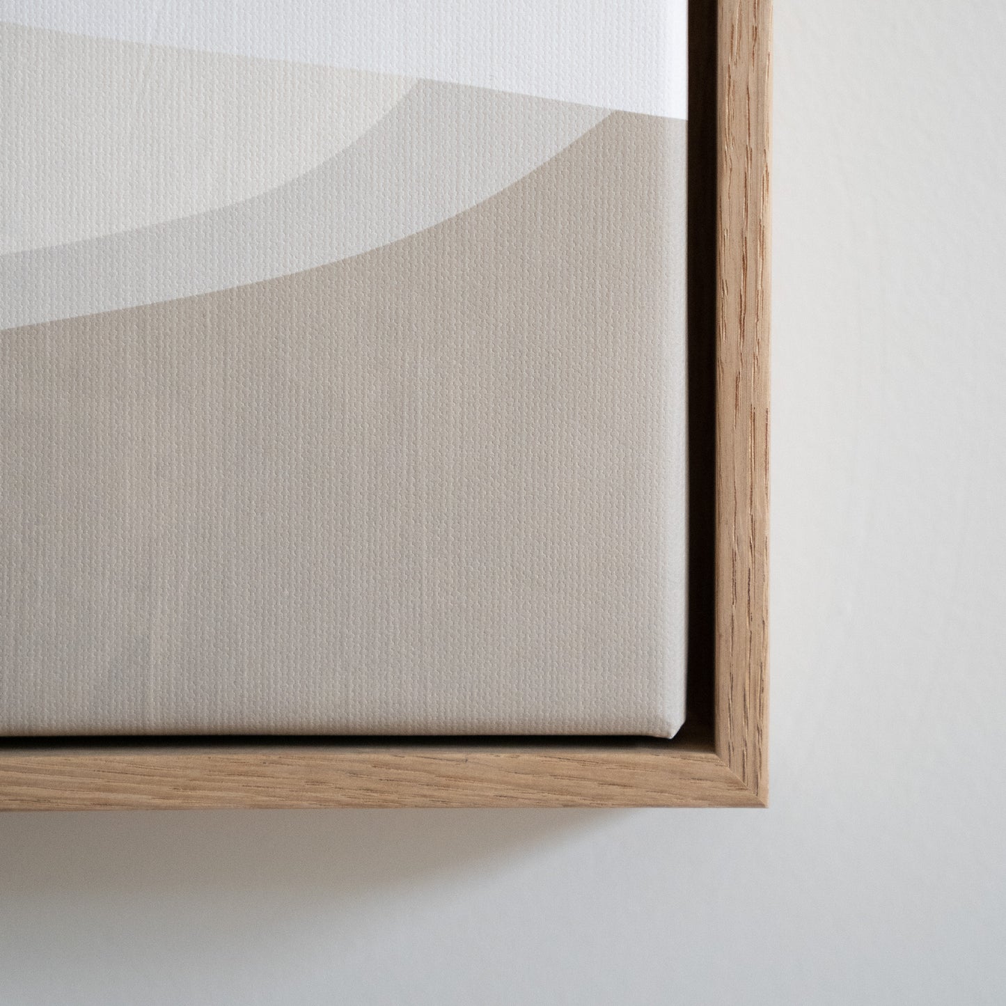 Organiska former canvastavla