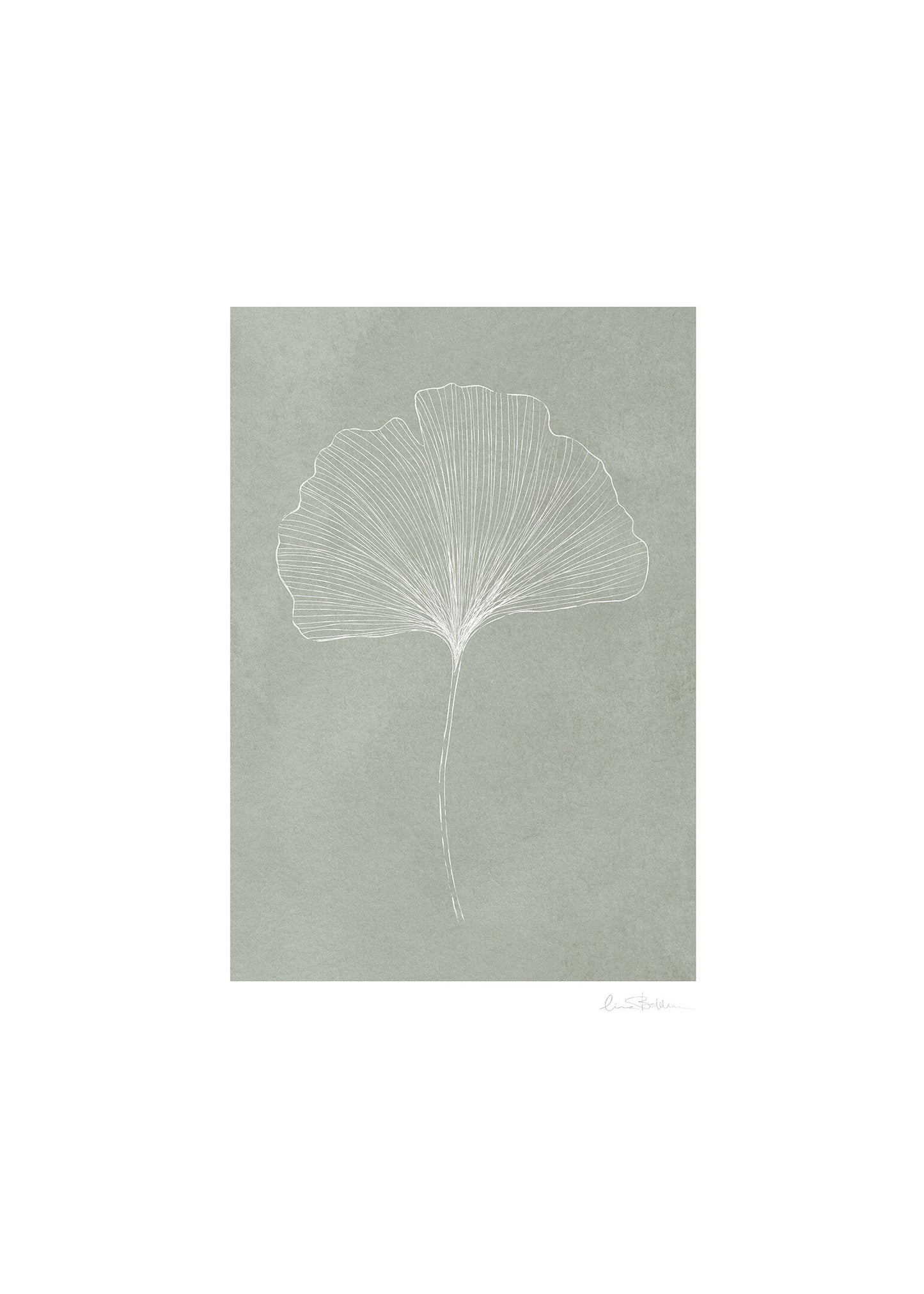 Ginkgo grön poster