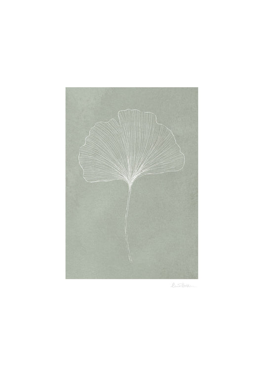 Ginkgo grön poster