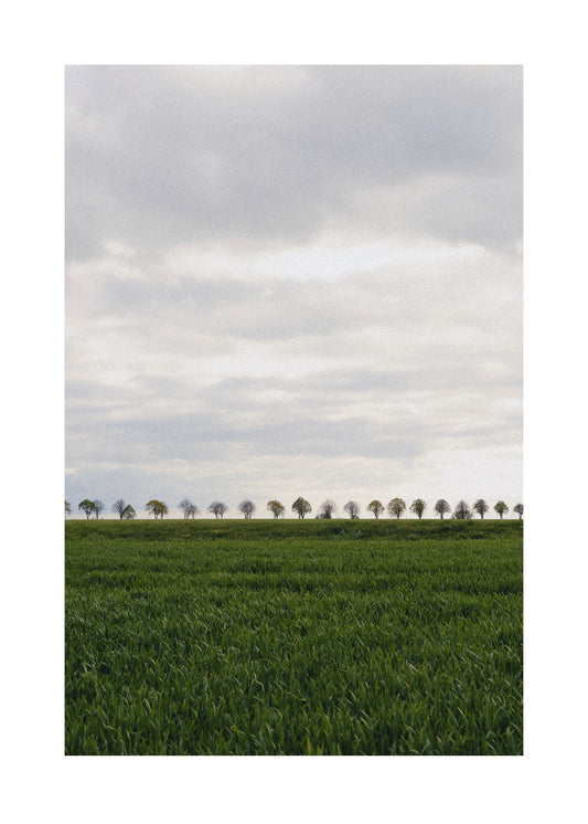 Trädsymmetri fotoposter