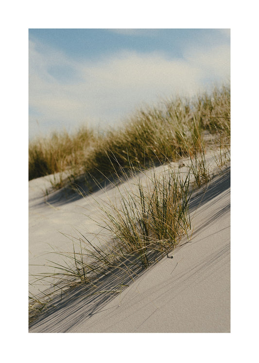 Österlens strandlinje poster