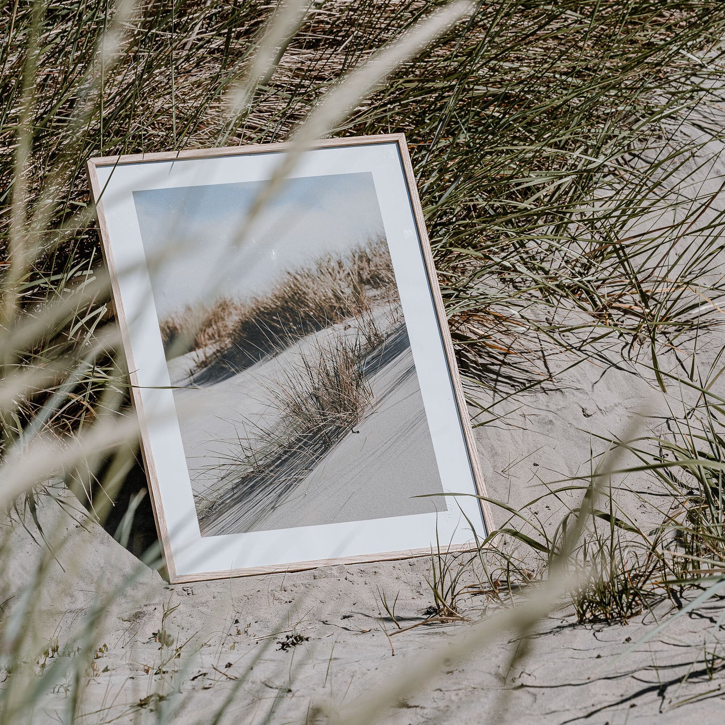 Österlens strandlinje poster